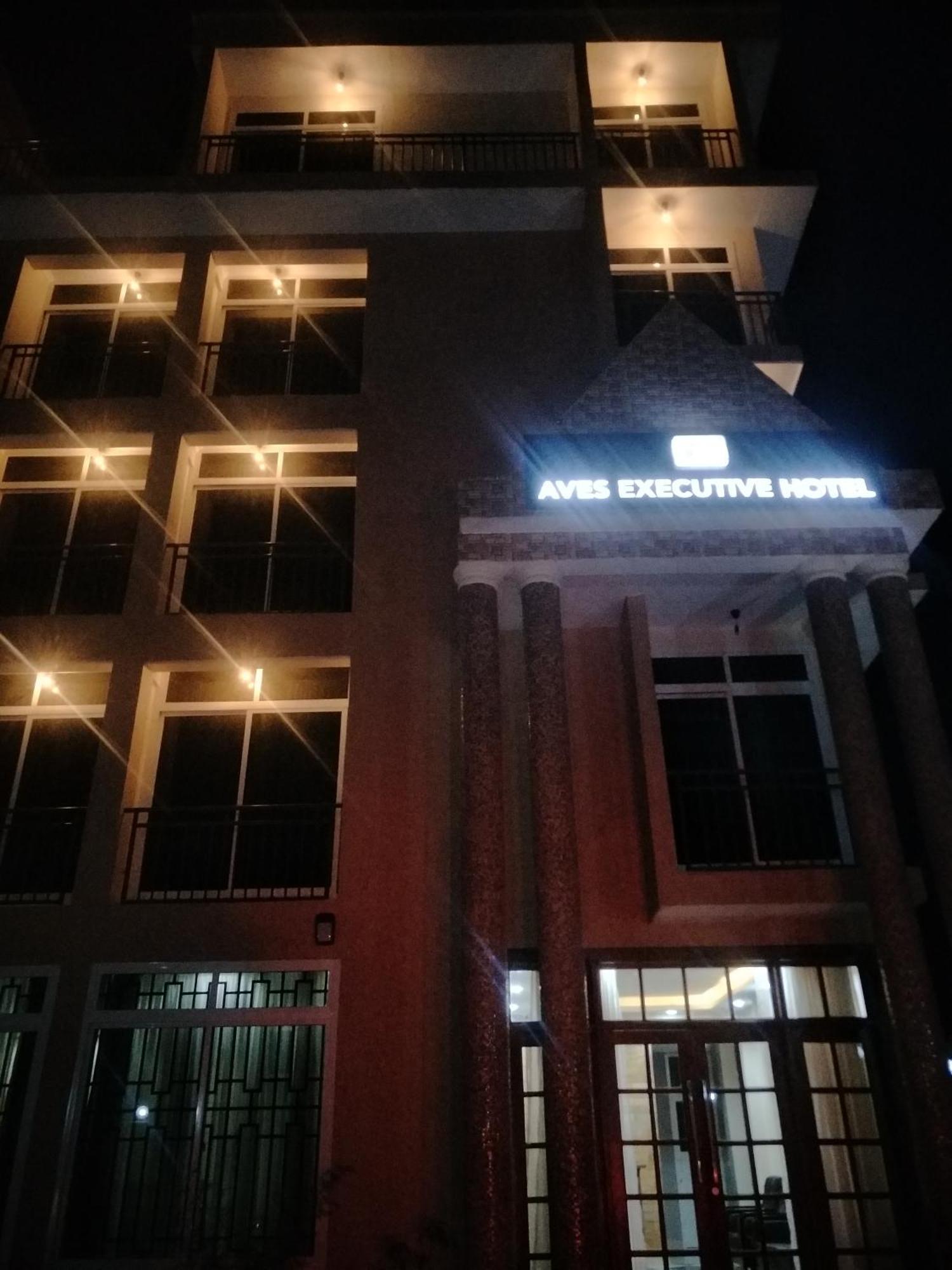 Aves Executive Hotel アルーシャ エクステリア 写真